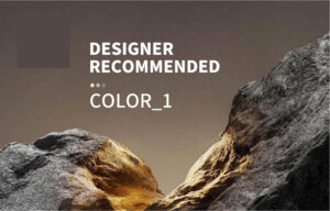 RECOMMENDED COLOR 1