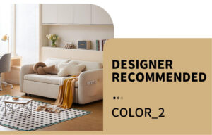 RECOMMENDED COLOR 2